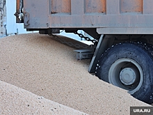 Жителя Тюмени насмерть засыпало зерном