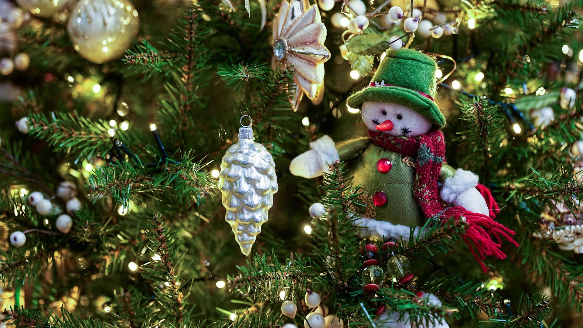 Юрист  рассказал об ответственности за сруб елки