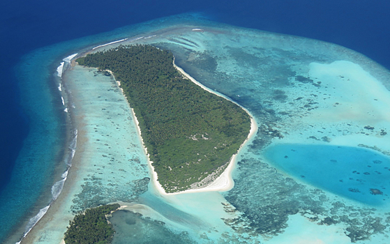 Повышение уровня моря может помочь коралловым островам