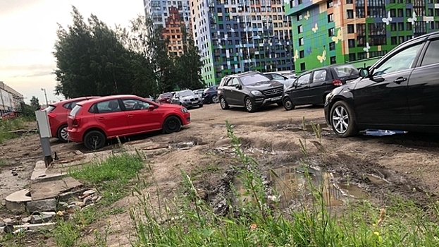 Учить петербуржцев парковаться будут штрафами и доносами