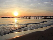 Delfi (Литва): «В Палангу влюбился раньше, чем в литовскую жену». Паланга становится центром притяжения русской интеллигенции