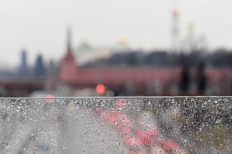 Синоптик Позднякова: заморозки в Москве представляют опасность для растений