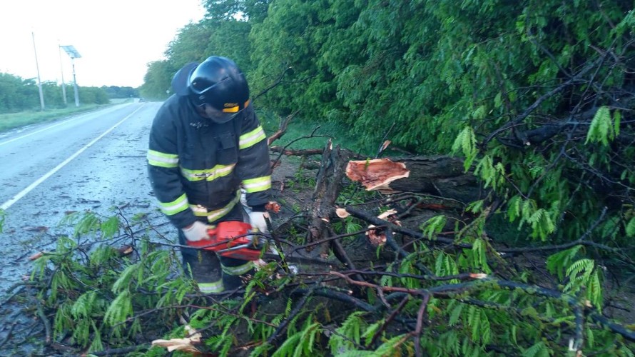 Более 100 вызовов отработали за неделю спасатели Краснодара