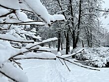 Высота снежного покрова в столичном регионе достигла 9 см