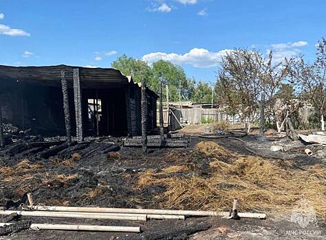 В Соль-Илецком муниципальном округе потушили пожар