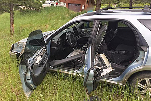 Медведь сел в машину и разбился