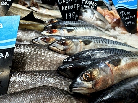 Более 100 партий опасной рыбы выявлено в Нижегородской области