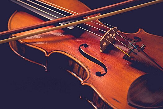 Юный скрипач исполнил «Времена года» Вивальди для самоизолированных саратовцев