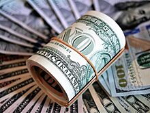ЦБ: Объём наличной валюты у россиян впервые превысил $100 млрд