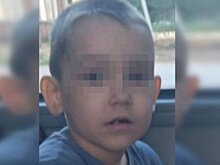 Пропавшего в Вологодской области трёхлетнего мальчика нашли живым — видео