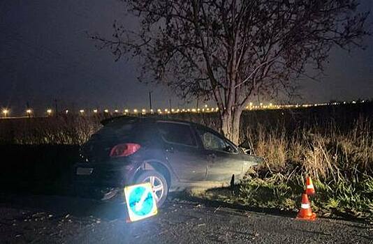 В Зеленоградском районе разогнавшаяся легковушка врезалась в дерево, водитель в больнице