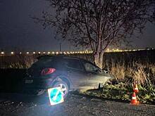 В Зеленоградском районе разогнавшаяся легковушка врезалась в дерево, водитель в больнице