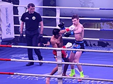 Нижегородские тайбоксёры завоевали шесть медалей на чемпионате России