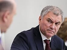 Политолог раскрыл настоящую причину заявлений Вячеслава Володина об эмигрантах