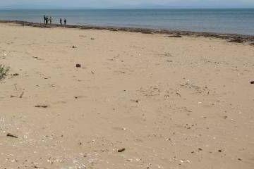 «Что там вообще происходит?»: видео с главного пляжа набирает популярность