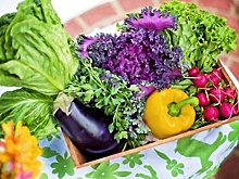 Глава Королева поручил определить места для продажи продукции местных садоводов