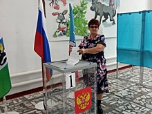 Дистанционное электронное голосование впервые используют на выборах новосибирского губернатора осенью-2023