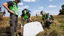 Антипов: суд Нидерландов не хочет установить истинные причины трагедии MH17