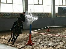 Законопроект о конном спорте могут внести в Госдуму в осеннюю сессию