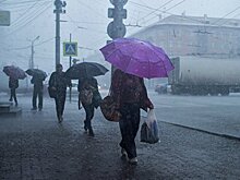 Росприроднадзор взял под контроль загрязнение воздуха в Омске