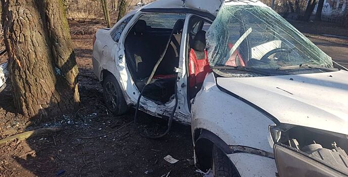 В Шахтах водитель врезался в дерево