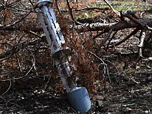 Украина обстреляла кассетными боеприпасами Брянскую область