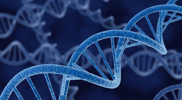 Израильские ученые обнаружили ген мужского бесплодия