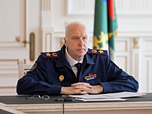 Бастрыкин потребовал доклад о раздетом ребёнке на морозе в Кемерове