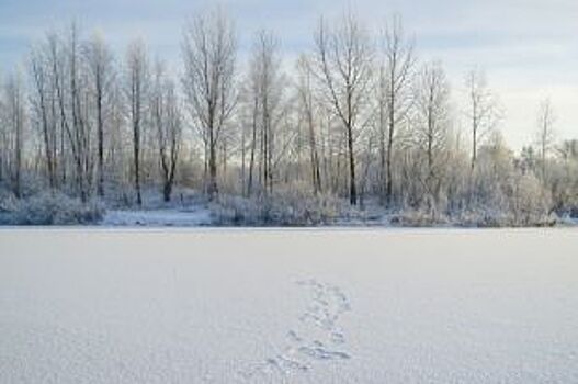 В НСО провалилась под лёд «газель» со снегоходом на борту