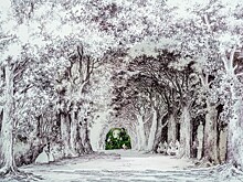 На Moscow Flower Show 2019 пройдет "Дефиле садов"