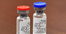 Rheinische Post (Германия): Россия хочет ускоренно зарегистрировать вакцину в ВОЗ