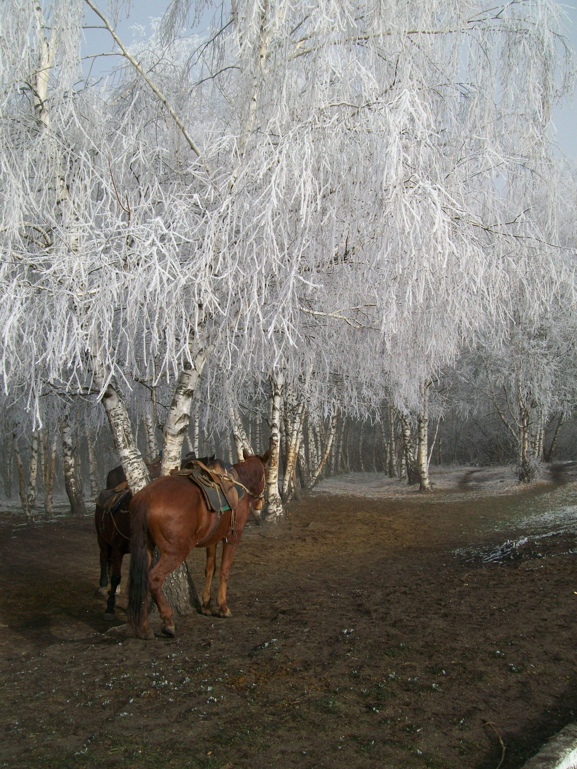 Русская зима