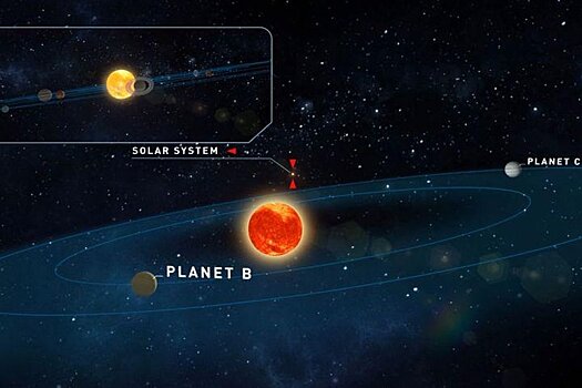 Потенциально пригодные для жизни планеты открыты у звезды Тигардена