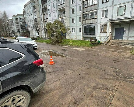 В поселке Левинцы неизвестный на «Шкоде» сбил мужчину