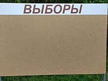 На выборах в ОЗС почти 7,5% избирателей могут испортить бюллетень