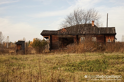 До трети земель заброшено в российских деревнях