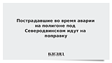 Никитин: пострадавшие под Северодвинском сотрудники ядерного центра идут на поправку