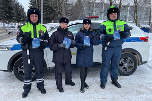 В Еврейской автономной области сотрудники Госавтоинспекции призвали водителей к соблюдению Правил дорожного движения