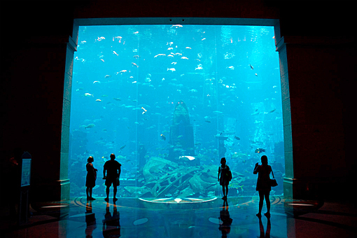 Заглавное изображение Отель Atlantis