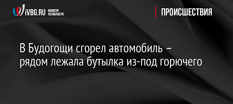В Будогощи сгорел автомобиль – рядом лежала бутылка из-под горючего