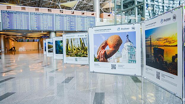 Памятниками деревянного зодчества Вологды любуются туристы в аэропорту Москвы
