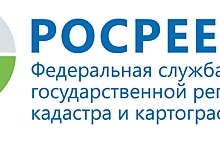 Срок предоставления государственной поддержки в виде микрозаймов сокращен на 5 дней
