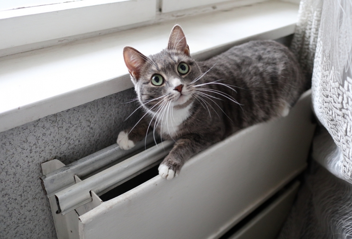 В ближайшее время отопление в Омске отключать не будут