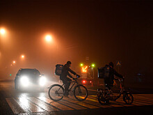 В России за полгода выросло число погибших в ДТП с велосипедистами