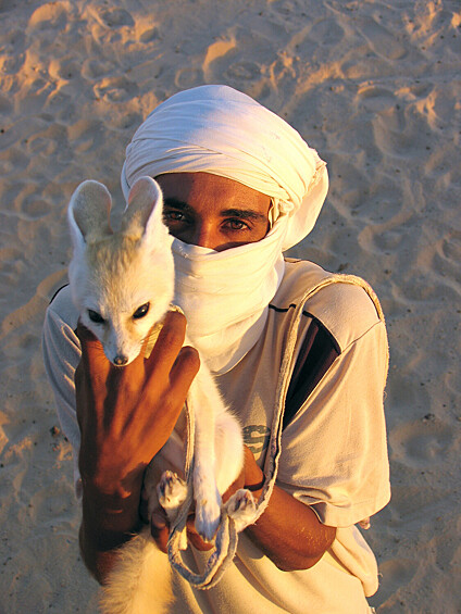 Кирилл Рябов.   Бедуин