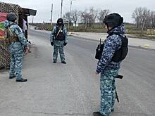 В Курской области полицейские задержали водителя с украденным медным кабелем