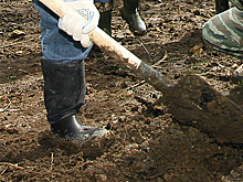 Останки советских и немецких солдат нашли под Ростовом-на-Дону