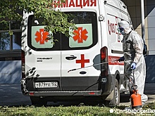 Свердловчан не пускают с коронавирусного поводка