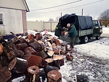 В Комлесхозе Подмосковья помогли заготовить дрова семье мобилизованного