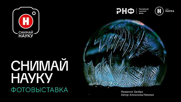 Алмазная река и дыхание Солнца: фотовыставка «Снимай науку!» пройдет в Архангельске